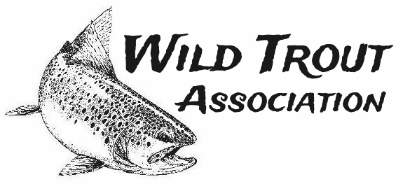 Wildtrout