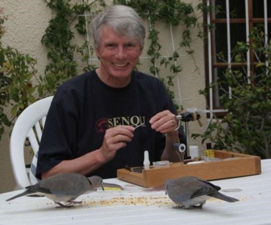 Insects and flies in the Eastern Cape Highlands 