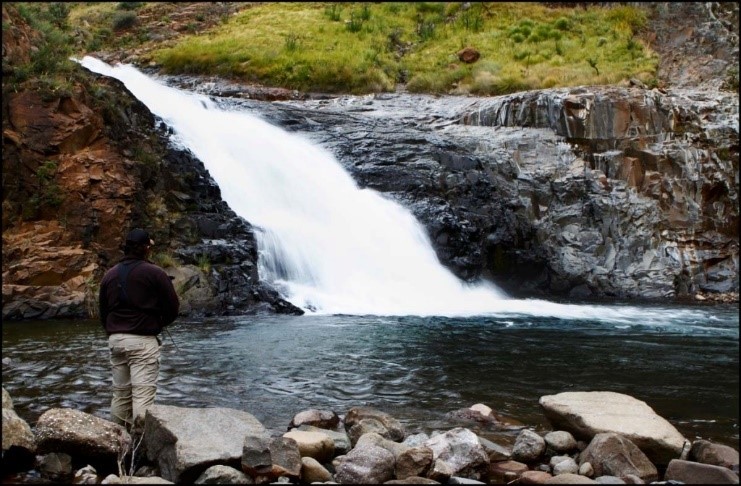 WTA Marketing Activities &amp; Festival Catch Summary